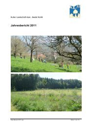 Jahresbericht 2011 - KLAS Seetal