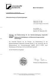 Prüfungs- und Studienordnung - Institut für Informatik - Universität ...