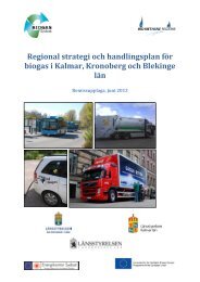 Regional strategi fÃ¶r biogas i Sydost Remissupplaga - Energikontor ...