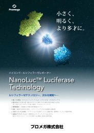 NanoLucã¬ã¤ã