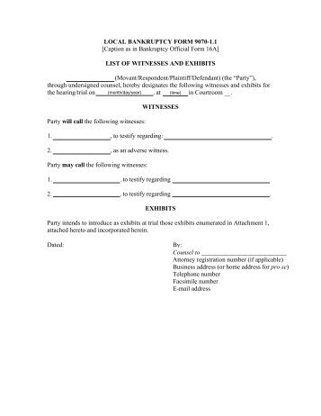 local bankruptcy form 9070-1.1 - list of witnesses and exhibits