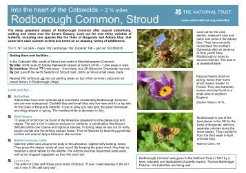 Rodborough Common Butterfly Walk - Walk4Life