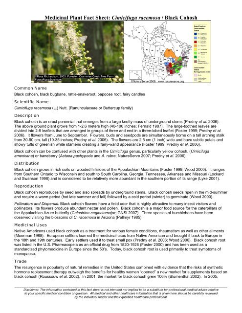 Medicinal Plant Fact Sheet: Cimicifuga racemosa / Black Cohosh