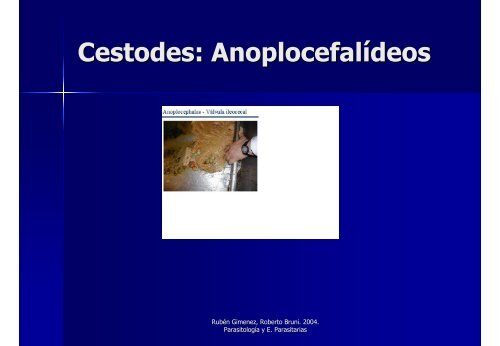 Avances en el Control y Tratamiento de las Parasitosis en Equinos