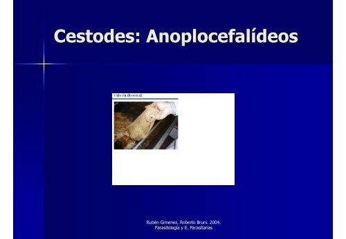 Avances en el Control y Tratamiento de las Parasitosis en Equinos