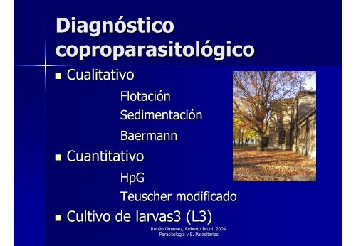 Avances en el Control y Tratamiento de las Parasitosis en Equinos