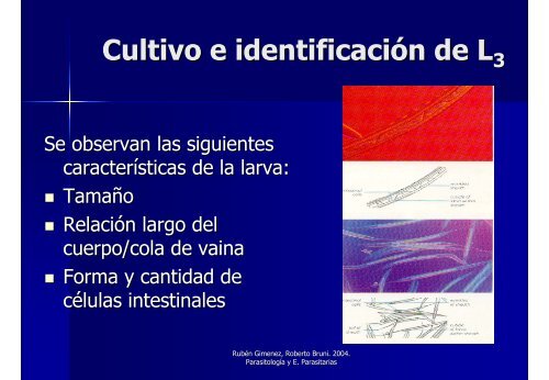 Avances en el Control y Tratamiento de las Parasitosis en Equinos