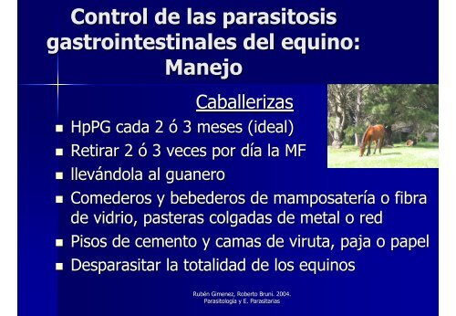 Avances en el Control y Tratamiento de las Parasitosis en Equinos