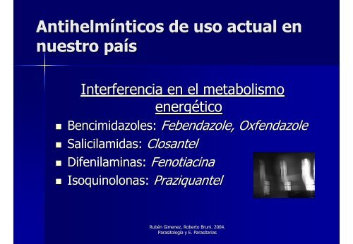 Avances en el Control y Tratamiento de las Parasitosis en Equinos