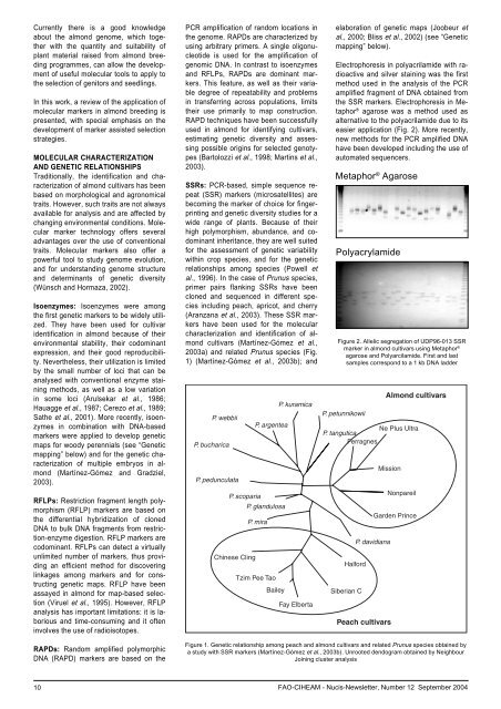 NUCIS number 12. September 2004. 52 pages (full ... - IAMZ - ciheam