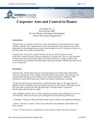 Carpenter Ants and Control in Homes - Utah State University ...