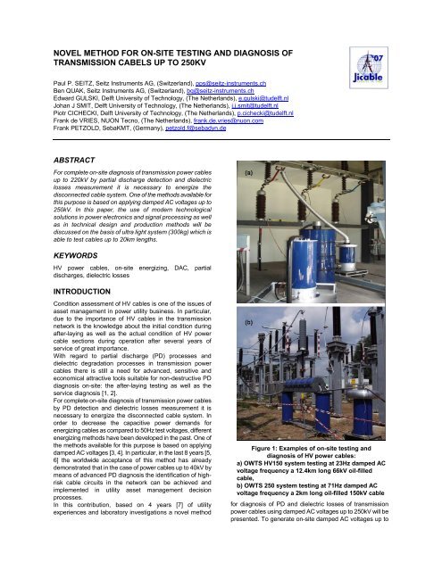 Novel method for on-site testing and diagnosis - sebaKMT