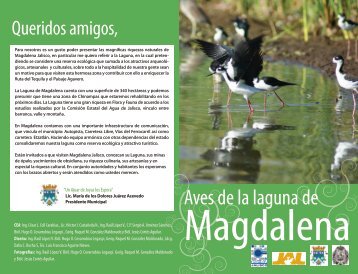 Aves de la laguna de - ComisiÃ³n Estatal del Agua de Jalisco