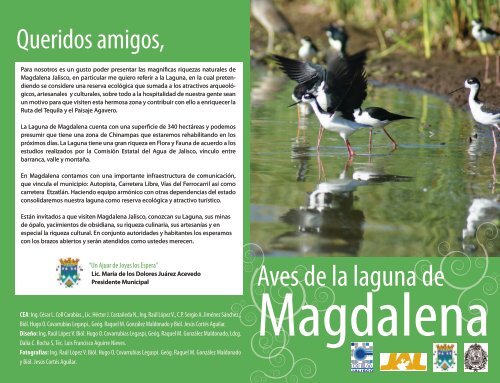 Aves de la laguna de - ComisiÃ³n Estatal del Agua de Jalisco