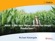 âWhat is the best Maize variety for biogas Production?â
