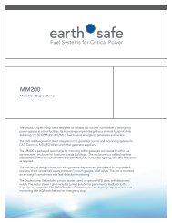 MM200 MicroFlow Duplex Pump Data Sheet - Earthsafe Systems, Inc.