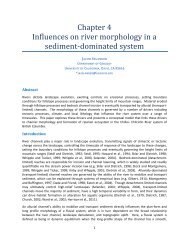 Influences on river morphology in a sediment-dominated system
