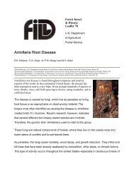 Armillaria Root Disease - New York State Envirothon