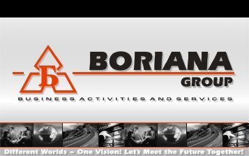 Company profile - Boriana Group