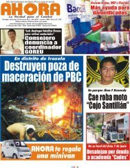 Local - Diario Ahora