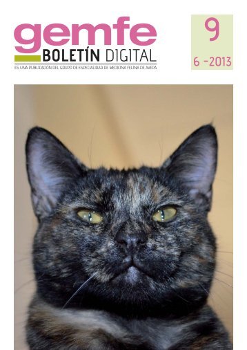 BoletÃ­n GEMFE NÂº 9 - Avepa
