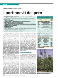 I portinnesti del pero - InfoKeeper