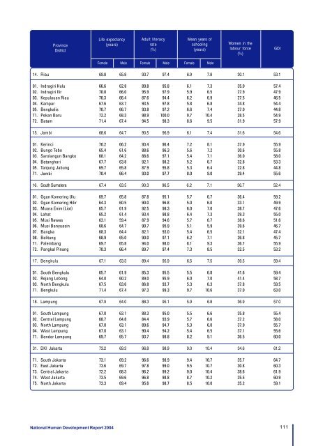 Download the Indonesia Human Development Report 2004. - UNDP