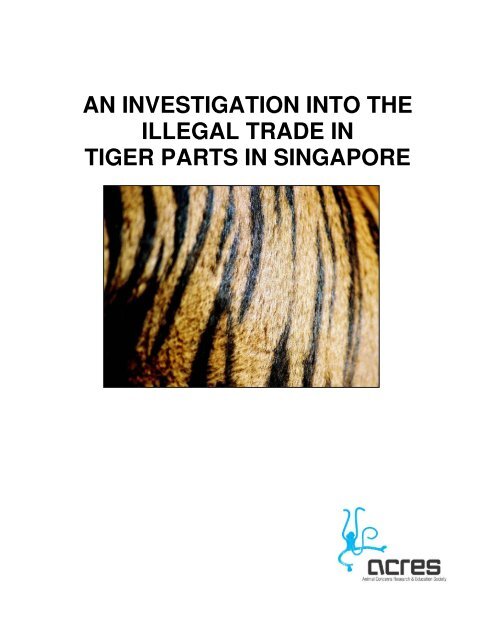 an investigation into the illegal trade in tiger parts in singapore
