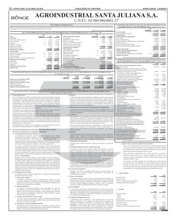 DemonstraÃ§Ãµes Financeiras Santa Juliana - Bunge