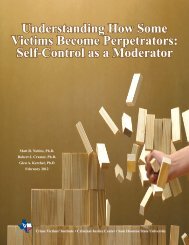 Understanding How Some Victims Become Perpetrators: Self ...