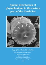 Spatial distribution of phytoplankton in the eastern part of the North ...