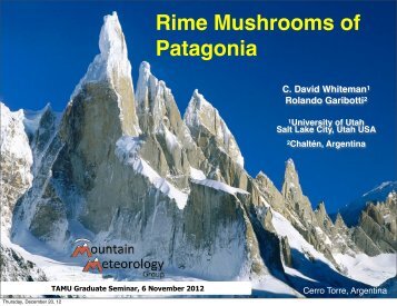 Rime Mushrooms of Patagonia - Inscc.utah.edu