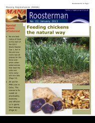 Feeding chickens the natural way - Subscribe to Roosterman