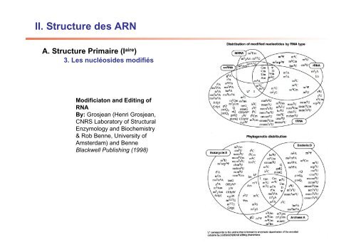 II. Structure des ARN - IBMC