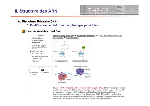II. Structure des ARN - IBMC