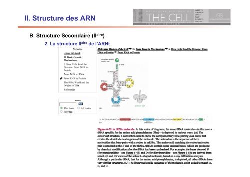 II. Structure des ARN - IBMC