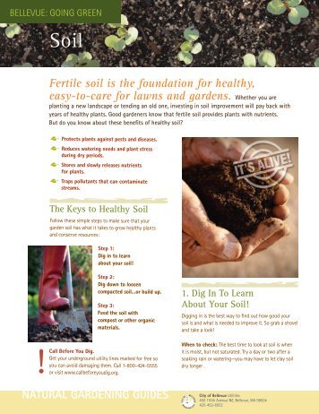 Fertile soil is the foundation for healthy, easy-to ... - City of Bellevue