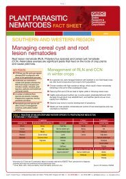 plant parasitic nematodes fact sheet - Grains Research ...