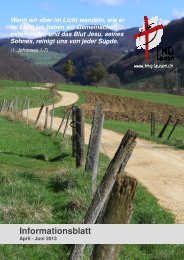 Ausgabe April - Juni 2013 - FMG Lausen