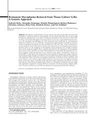 Permanent Mycoplasma Removal from Tissue Culture Cells: A ...