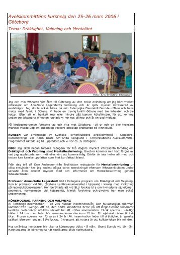 Kurshelg mars 2006 - Svenska Terrierklubben