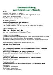 Flyer Seminar termine 2012 - Spagyrik nach Zimpel