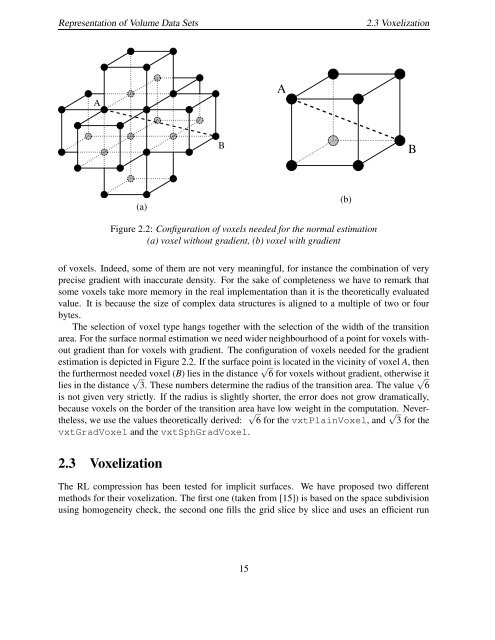 Volume Representation by Gradient and Distance Fields - Spring ...