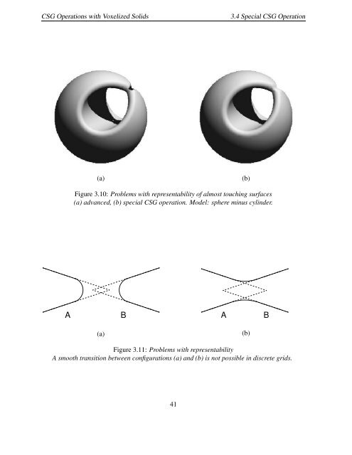 Volume Representation by Gradient and Distance Fields - Spring ...
