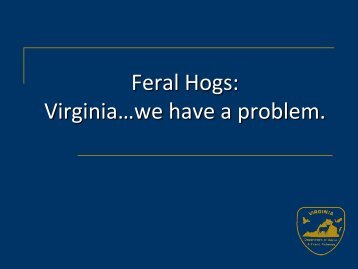 Feral Hogs in Virginia