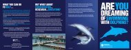 the new leaflet on swimming with dolphins - Marine Connection