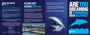 the new leaflet on swimming with dolphins - Marine Connection