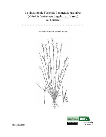 La situation de l'aristide Ã  rameaux basilaires - Institut de recherche ...