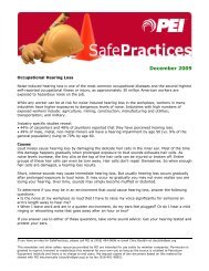 Safe Practices - Petroleum Equipment Institute