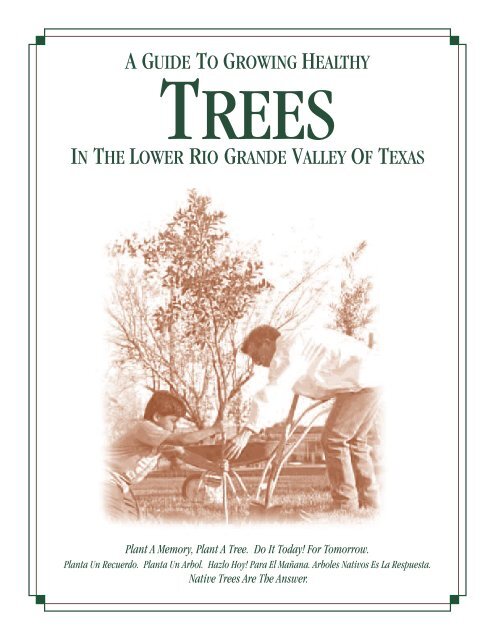 Texas A&M Extension Office provides tree-planting tips